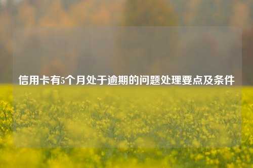 信用卡有5个月处于逾期的问题处理要点及条件