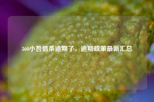 360小吾借条逾期了，逾期政策最新汇总