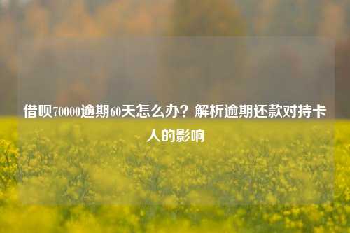 借呗70000逾期60天怎么办？解析逾期还款对持卡人的影响