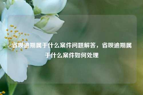 省呗逾期属于什么案件问题解答，省呗逾期属于什么案件如何处理