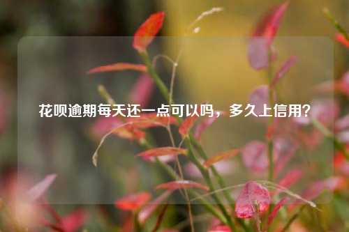 花呗逾期每天还一点可以吗，多久上信用？