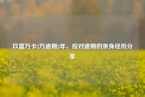 玖富万卡2万逾期2年，应对逾期的亲身经历分享