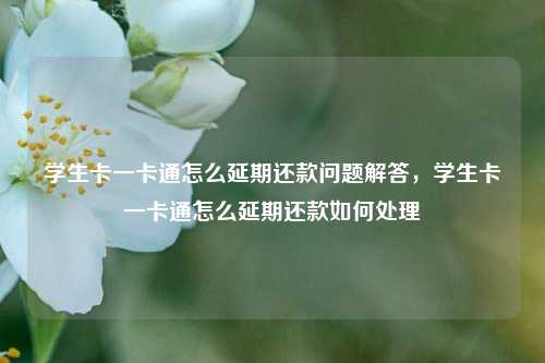 学生卡一卡通怎么延期还款问题解答，学生卡一卡通怎么延期还款如何处理