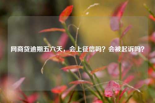 网商贷逾期五六天，会上征信吗？会被起诉吗？