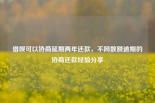 借呗可以协商延期两年还款，不同数额逾期的协商还款经验分享