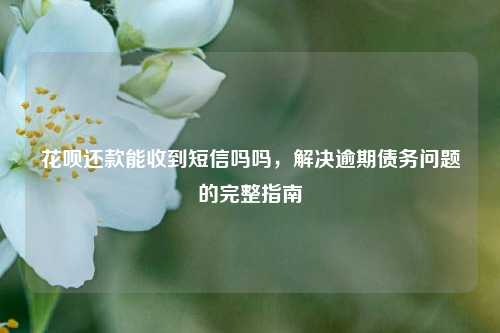 花呗还款能收到短信吗吗，解决逾期债务问题的完整指南