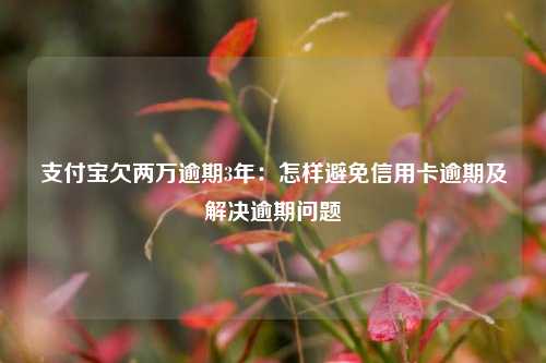支付宝欠两万逾期3年：怎样避免信用卡逾期及解决逾期问题