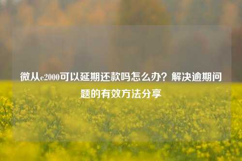 微从e2000可以延期还款吗怎么办？解决逾期问题的有效方法分享