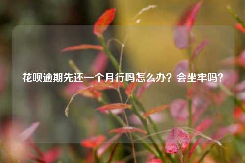 花呗逾期先还一个月行吗怎么办？会坐牢吗？