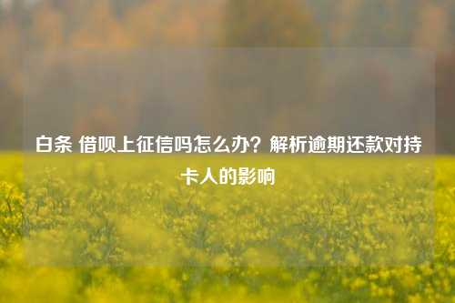 白条 借呗上征信吗怎么办？解析逾期还款对持卡人的影响