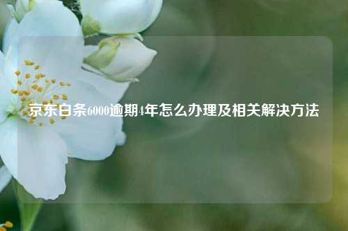 京东白条6000逾期4年怎么办理及相关解决方法