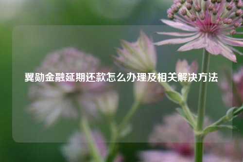 翼勋金融延期还款怎么办理及相关解决方法