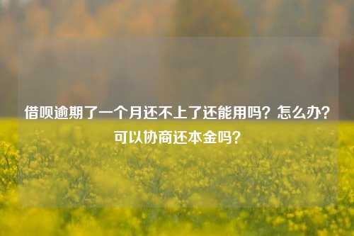 借呗逾期了一个月还不上了还能用吗？怎么办？可以协商还本金吗？