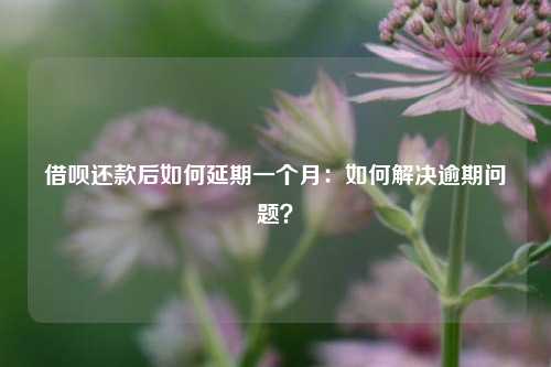 借呗还款后如何延期一个月：如何解决逾期问题？