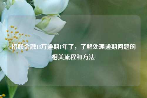 招联金融18万逾期1年了，了解处理逾期问题的相关流程和方法