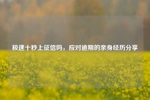 极速十秒上征信吗，应对逾期的亲身经历分享