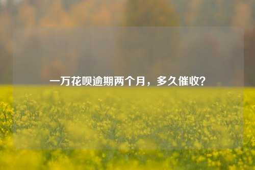 一万花呗逾期两个月，多久催收？