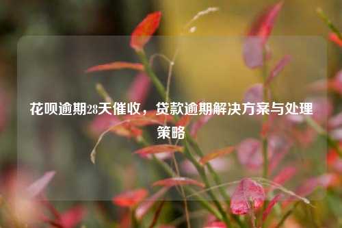 花呗逾期28天催收，贷款逾期解决方案与处理策略