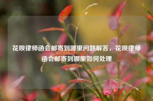 花呗律师函会邮寄到哪里问题解答，花呗律师函会邮寄到哪里如何处理