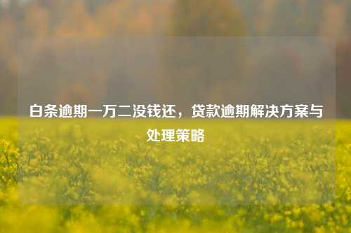 白条逾期一万二没钱还，贷款逾期解决方案与处理策略