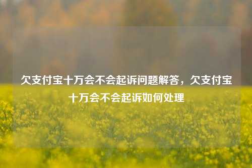 欠支付宝十万会不会起诉问题解答，欠支付宝十万会不会起诉如何处理