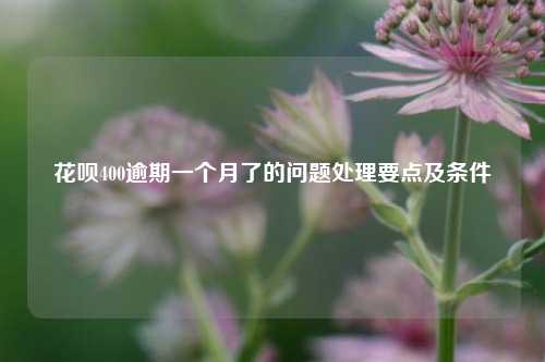 花呗400逾期一个月了的问题处理要点及条件