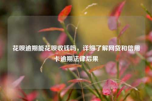 花呗逾期能花呗收钱吗，详细了解网贷和信用卡逾期法律后果