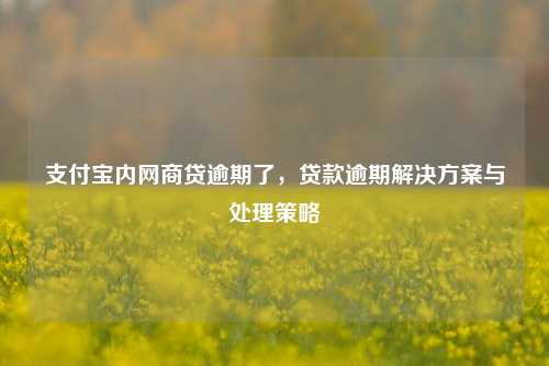 支付宝内网商贷逾期了，贷款逾期解决方案与处理策略