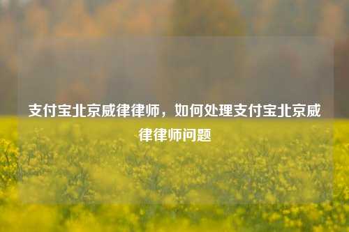 支付宝北京威律律师，如何处理支付宝北京威律律师问题