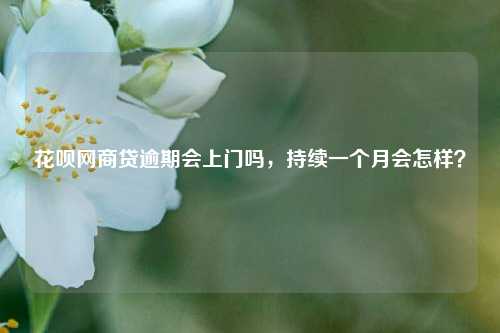 花呗网商贷逾期会上门吗，持续一个月会怎样？