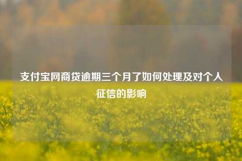 支付宝网商贷逾期三个月了如何处理及对个人征信的影响