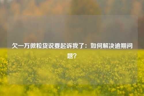 欠一万微粒贷说要起诉我了：如何解决逾期问题？