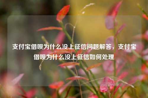 支付宝借呗为什么没上征信问题解答，支付宝借呗为什么没上征信如何处理