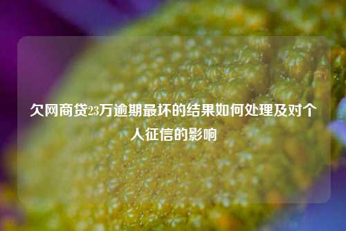 欠网商贷23万逾期最坏的结果如何处理及对个人征信的影响