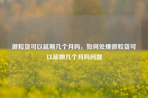 微粒贷可以延期几个月吗，如何处理微粒贷可以延期几个月吗问题