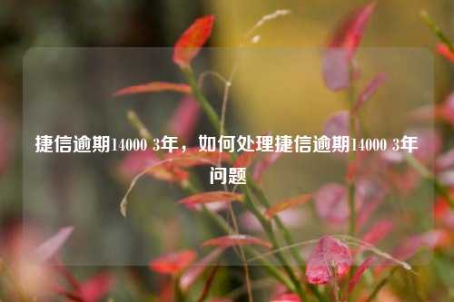 捷信逾期14000 3年，如何处理捷信逾期14000 3年问题