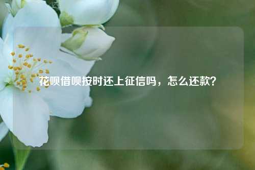 花呗借呗按时还上征信吗，怎么还款？