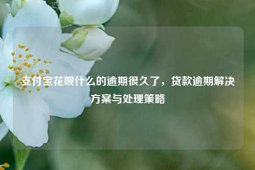 支付宝花呗什么的逾期很久了，贷款逾期解决方案与处理策略