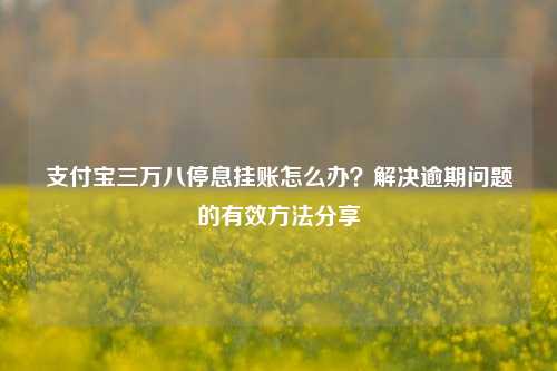 支付宝三万八停息挂账怎么办？解决逾期问题的有效方法分享