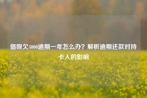 借呗欠4000逾期一年怎么办？解析逾期还款对持卡人的影响