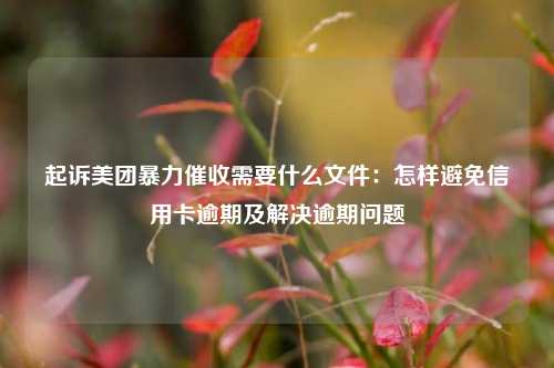 起诉美团暴力催收需要什么文件：怎样避免信用卡逾期及解决逾期问题