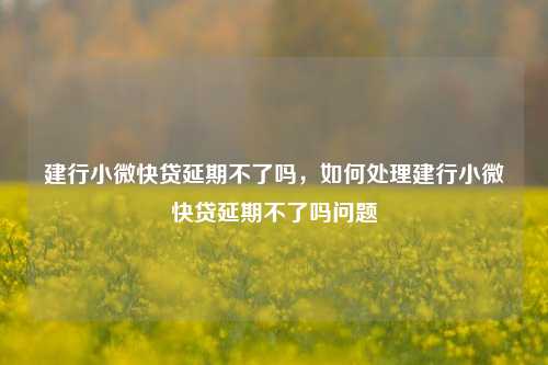 建行小微快贷延期不了吗，如何处理建行小微快贷延期不了吗问题