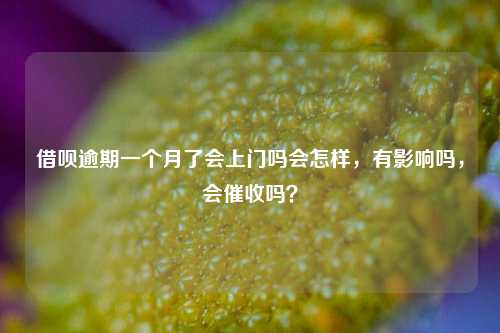 借呗逾期一个月了会上门吗会怎样，有影响吗，会催收吗？