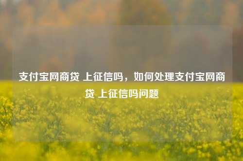 支付宝网商贷 上征信吗，如何处理支付宝网商贷 上征信吗问题