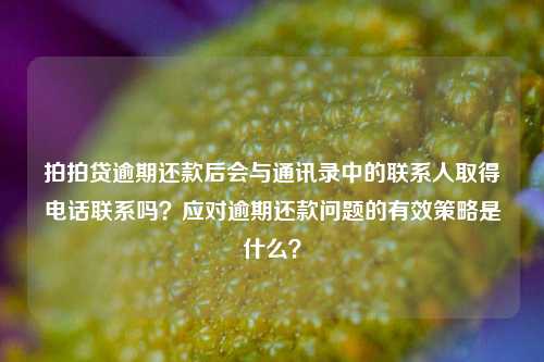 拍拍贷逾期还款后会与通讯录中的联系人取得电话联系吗？应对逾期还款问题的有效策略是什么？