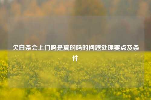 欠白条会上门吗是真的吗的问题处理要点及条件