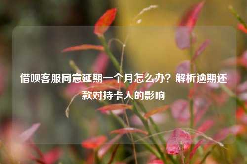 借呗客服同意延期一个月怎么办？解析逾期还款对持卡人的影响