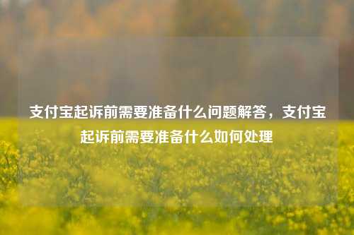 支付宝起诉前需要准备什么问题解答，支付宝起诉前需要准备什么如何处理