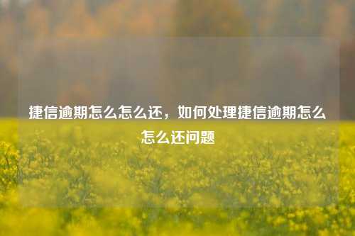 捷信逾期怎么怎么还，如何处理捷信逾期怎么怎么还问题