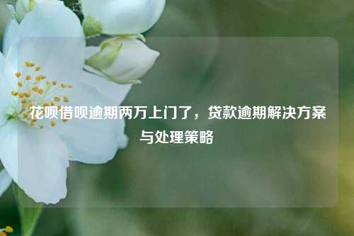 花呗借呗逾期两万上门了，贷款逾期解决方案与处理策略